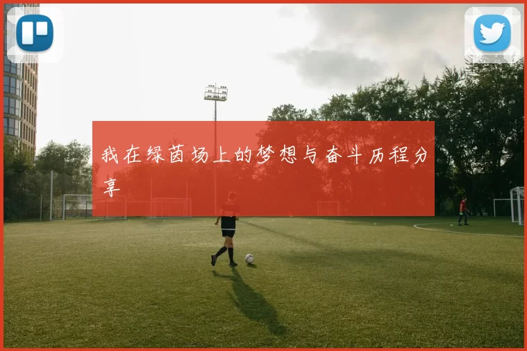 我在绿茵场上的梦想与奋斗历程分享
