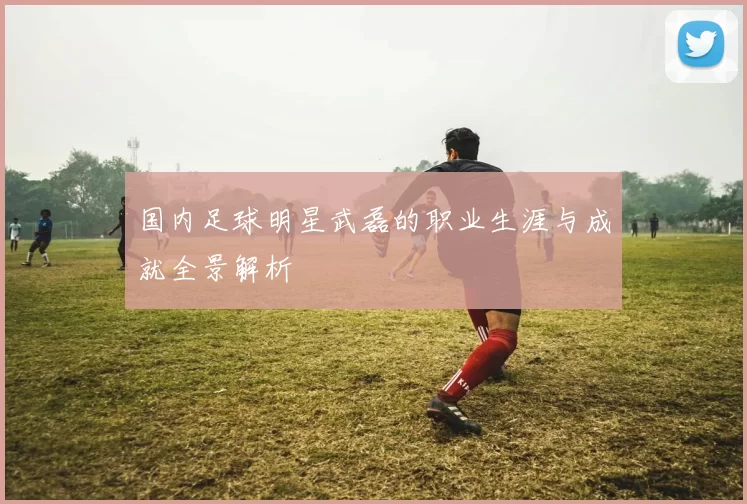 国内足球明星武磊的职业生涯与成就全景解析