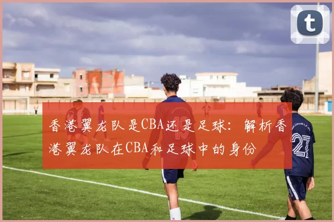 香港翼龙队是CBA还是足球：解析香港翼龙队在CBA和足球中的身份