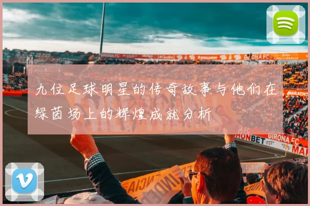 九位足球明星的传奇故事与他们在绿茵场上的辉煌成就分析