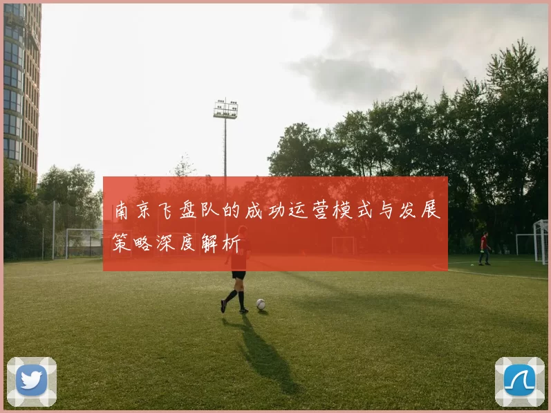 南京飞盘队的成功运营模式与发展策略深度解析