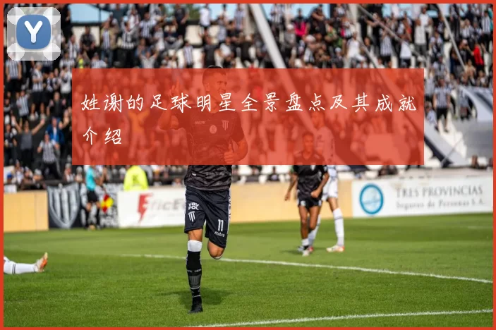 姓谢的足球明星全景盘点及其成就介绍