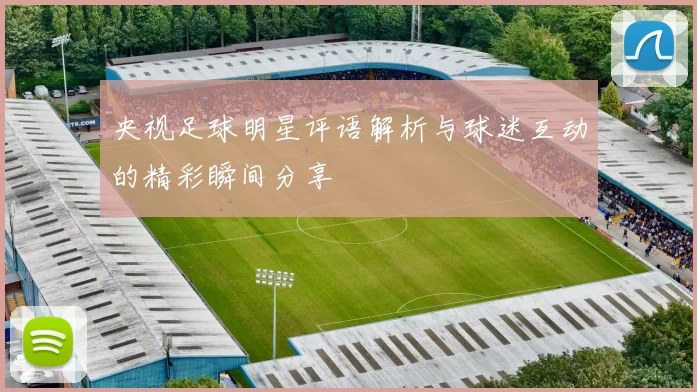 央视足球明星评语解析与球迷互动的精彩瞬间分享