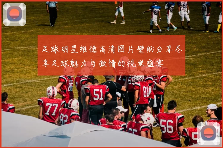 足球明星维德高清图片壁纸分享尽享足球魅力与激情的视觉盛宴
