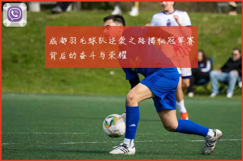 成都羽毛球队逆袭之路揭秘冠军赛背后的奋斗与荣耀