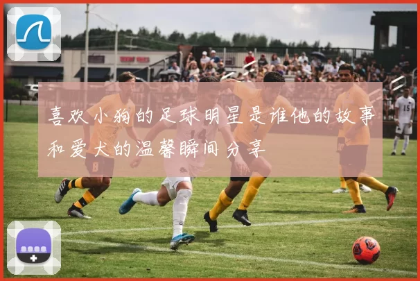 喜欢小狗的足球明星是谁他的故事和爱犬的温馨瞬间分享