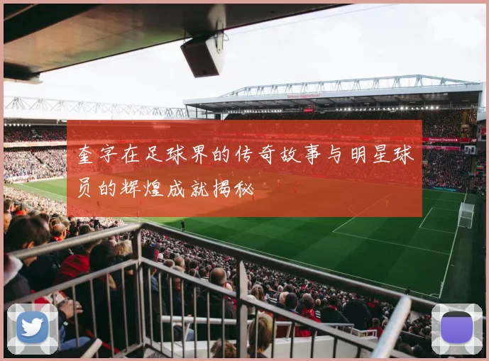 奎字在足球界的传奇故事与明星球员的辉煌成就揭秘