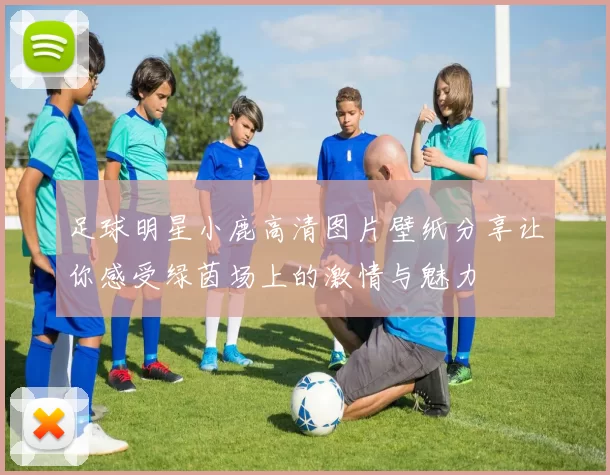 足球明星小鹿高清图片壁纸分享让你感受绿茵场上的激情与魅力