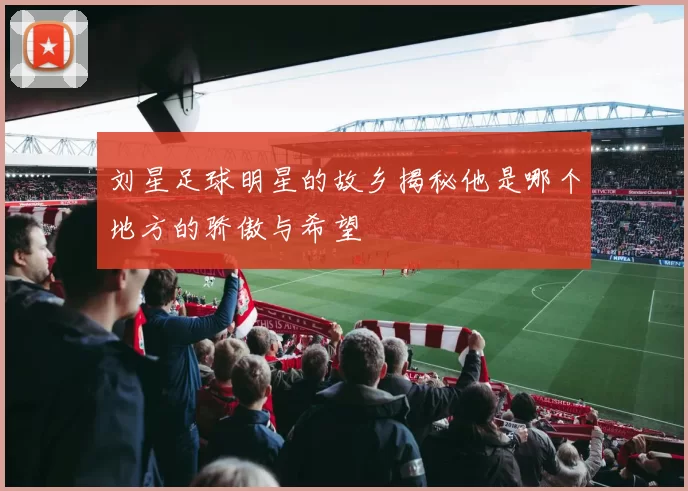 刘星足球明星的故乡揭秘他是哪个地方的骄傲与希望