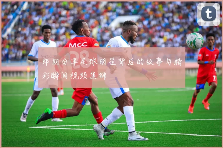 郎朗分享足球明星背后的故事与精彩瞬间视频集锦