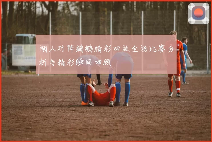 湖人对阵鹈鹕精彩回放全场比赛分析与精彩瞬间回顾
