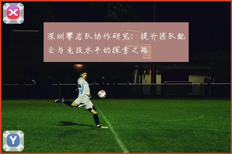 深圳攀岩队协作研究：提升团队配合与竞技水平的探索之路