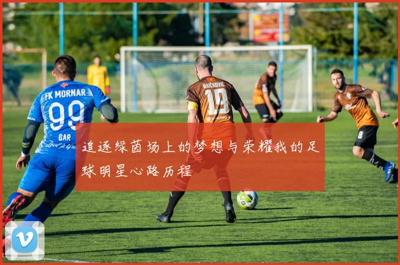 追逐绿茵场上的梦想与荣耀我的足球明星心路历程