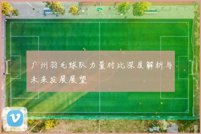 广州羽毛球队力量对比深度解析与未来发展展望