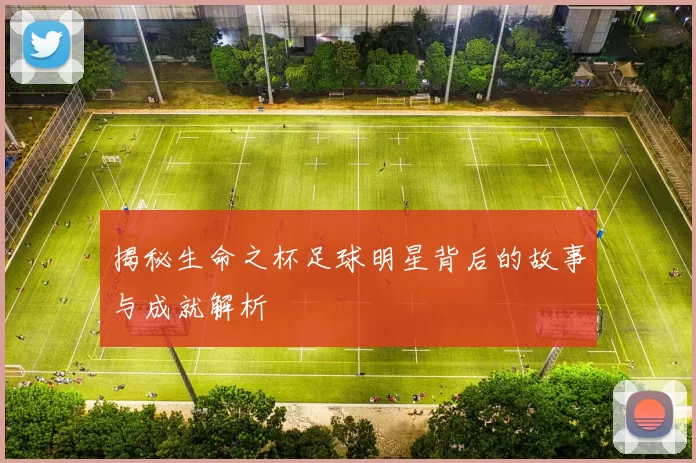 揭秘生命之杯足球明星背后的故事与成就解析