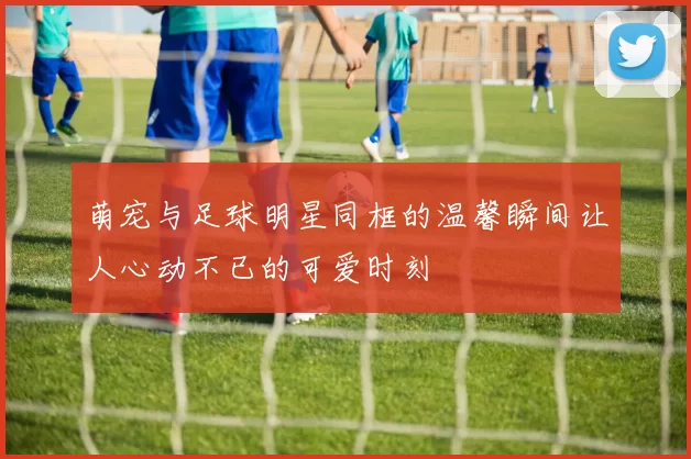 萌宠与足球明星同框的温馨瞬间让人心动不已的可爱时刻