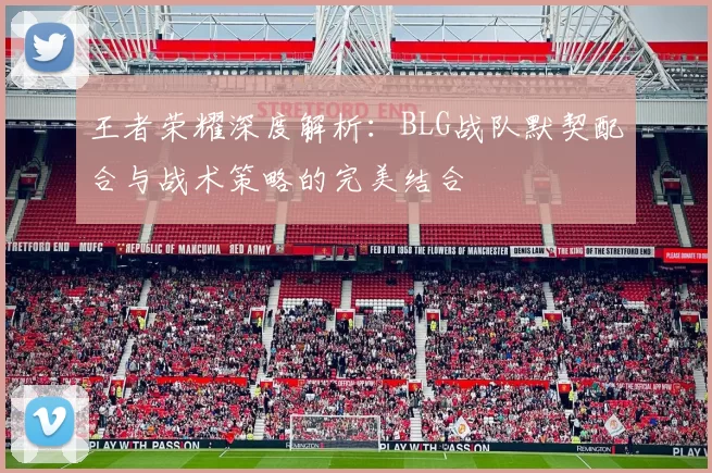 王者荣耀深度解析：BLG战队默契配合与战术策略的完美结合