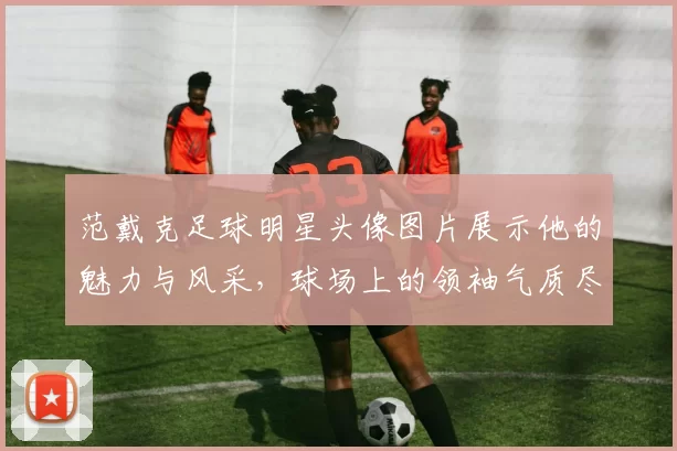 范戴克足球明星头像图片展示他的魅力与风采，球场上的领袖气质尽显无遗