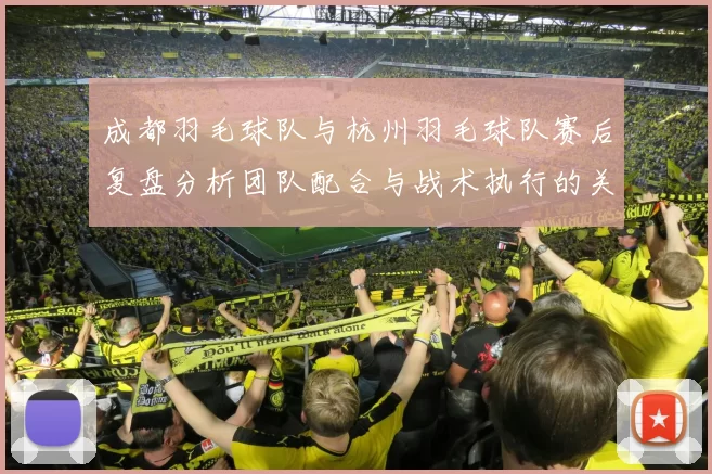 成都羽毛球队与杭州羽毛球队赛后复盘分析团队配合与战术执行的关键因素